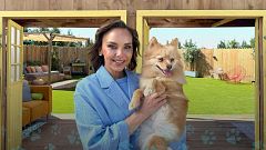 Dog House - Temporada 2 - Programa 1