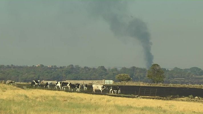 El incendio Brieva baja nivel 1 de peligrosidad - Ver más