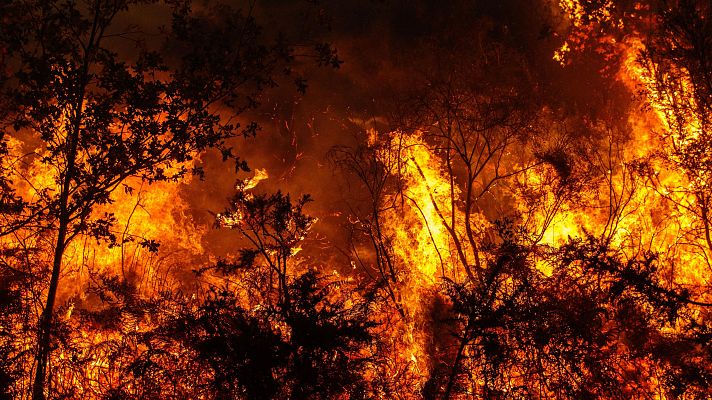 La IA ayuda en la detección de incendios forestales en Galicia