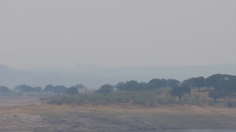 Paisaje brumoso con agua, tierra seca, árboles verdes oscuros y colinas difuminadas al fondo bajo un cielo gris.