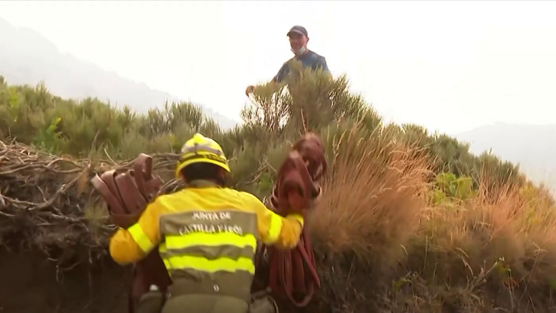 Brigadista de la Junta de Castilla y León con uniforme amarillo y mangueras en ladera con vegetación. Al fondo, otra persona entre arbustos y montañas brumosas.
