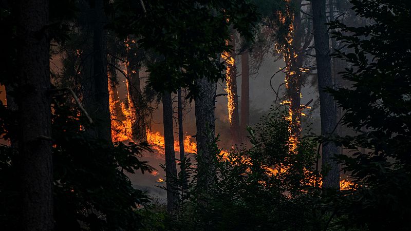 El incendio de Ávila, el mayor de la historia de España
