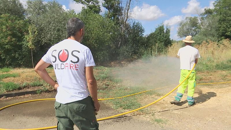 SOS Wild Fire