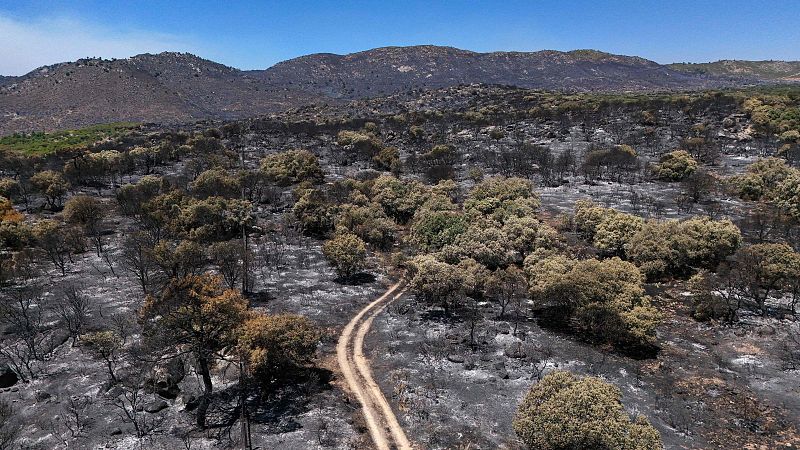 Lucha contra reloj en los incendios de Madrid y Ávila
