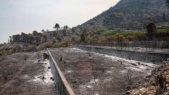 Más de 180.000 personas siguen evacuadas o confinadas por incendios que dejan ya 90.000 hectáreas afectadas