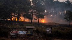 Ola de calor: se dispara riesgo de incendios