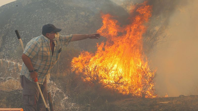Preocupan el incendo de Zamora y los tres incendios de León - Informativo 24h | Ver