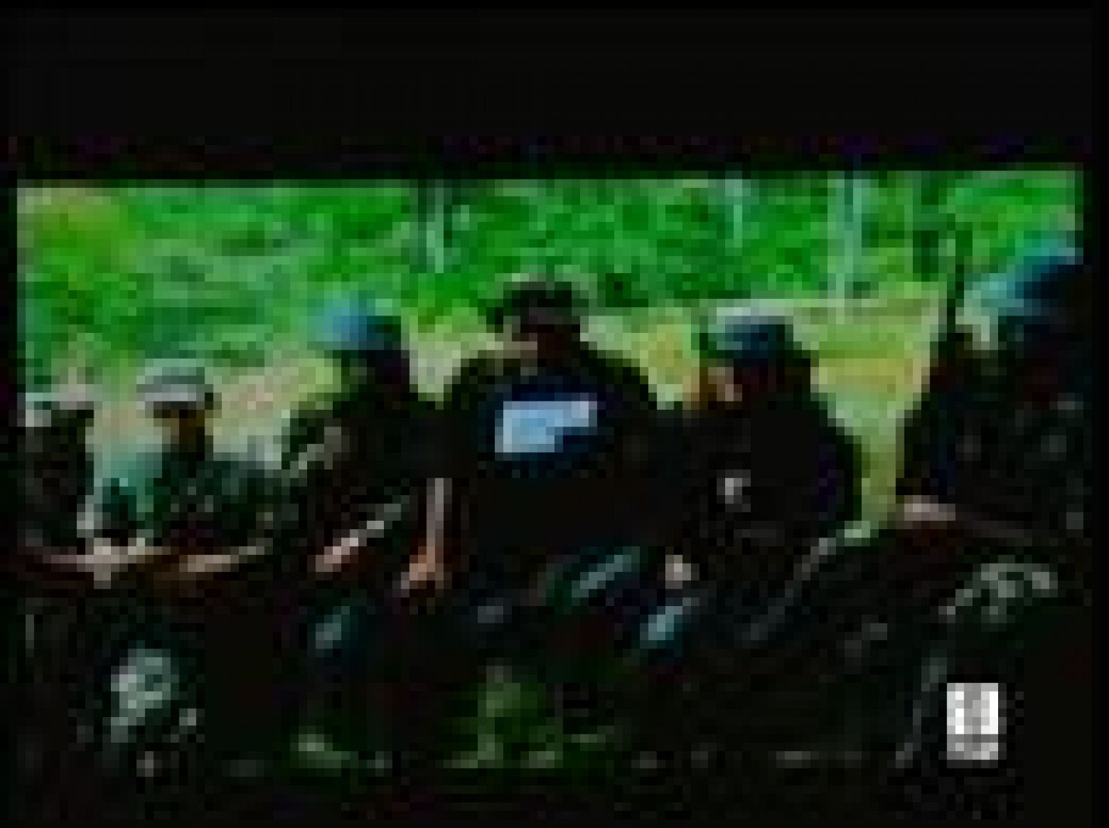 Vídeo incautado a las FARC, prueba de los contactos que mantuvo con ETA | Ver