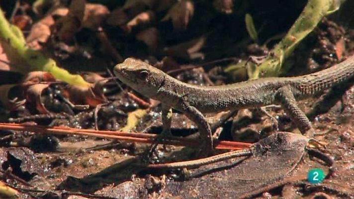Biodiario - Biodiario - 13/03/13