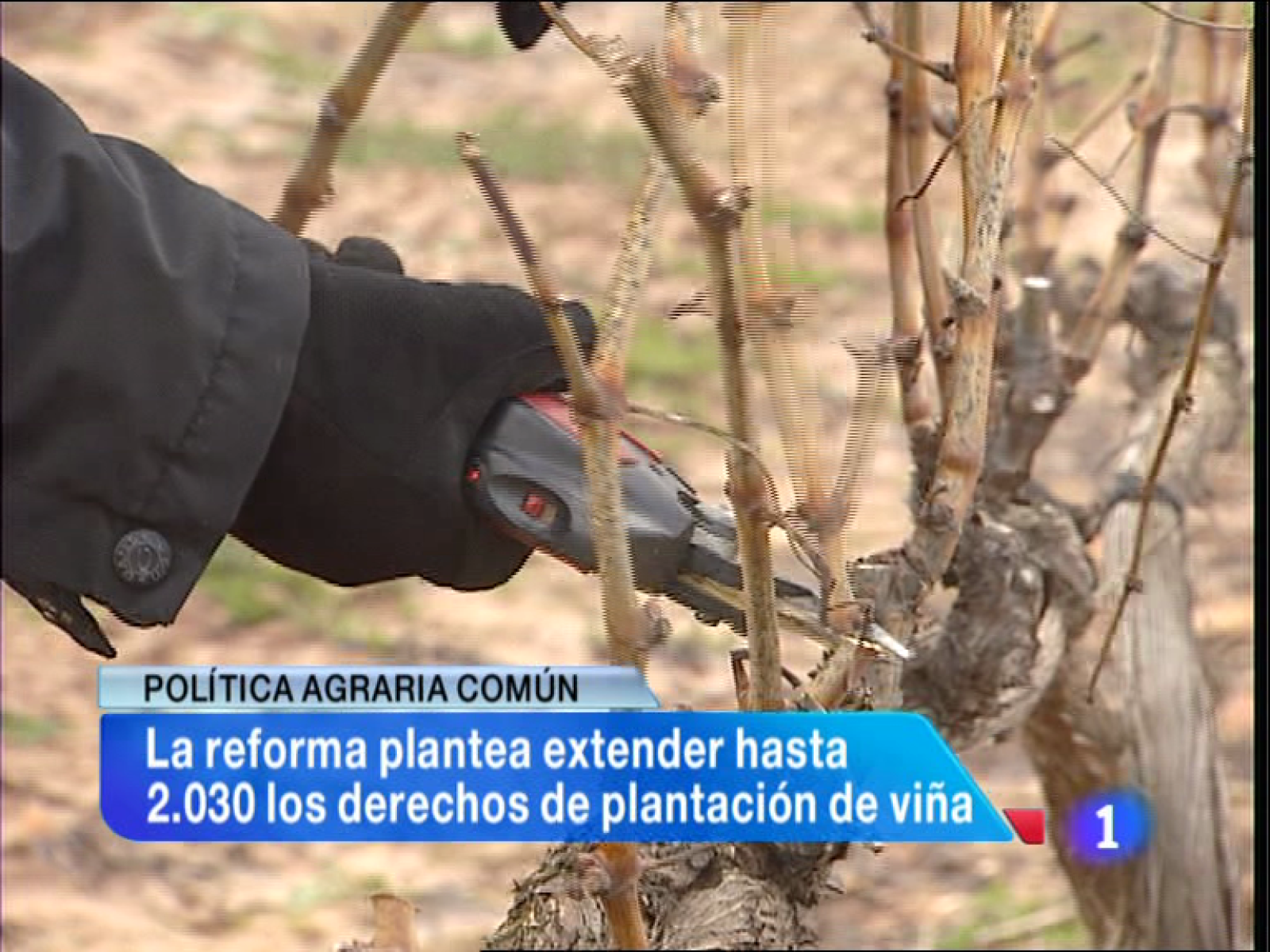 Informativo Telerioja - 14/03/13 | Ver