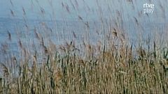 Naturaleza ibérica - Las zonas húmedas: fábricas de vida