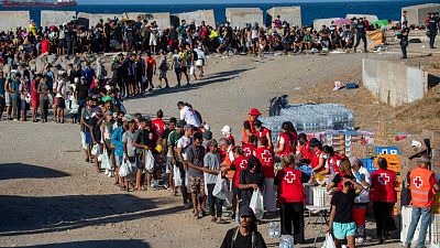 Informe Semanal - 29/08/26