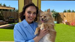 'Dog house': Martes 8, fin de temporada