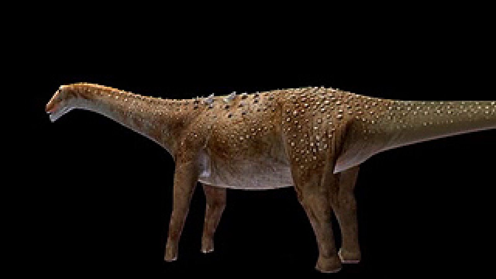 El lento y torpe gigantón.