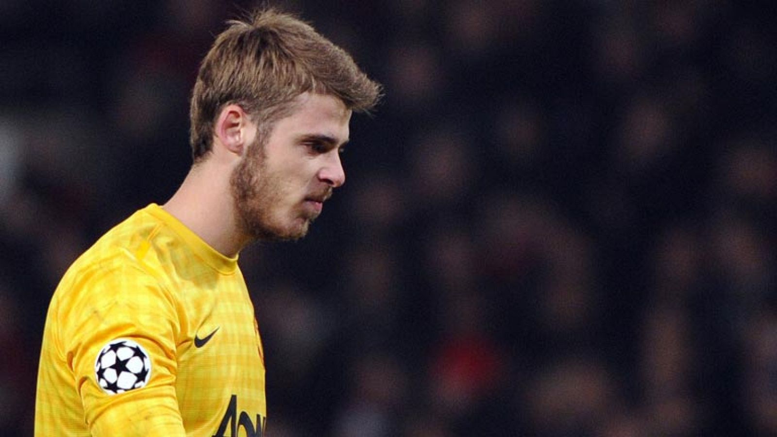 De Gea y Javi García, novedades en la lista de Del Bosque - Informativo 24h | Ver