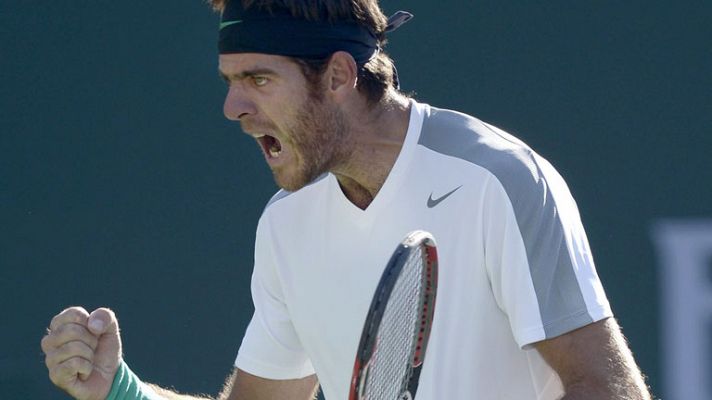 Tenis - Del Potro remonta ante Djokovic y se verá las caras con Nadal