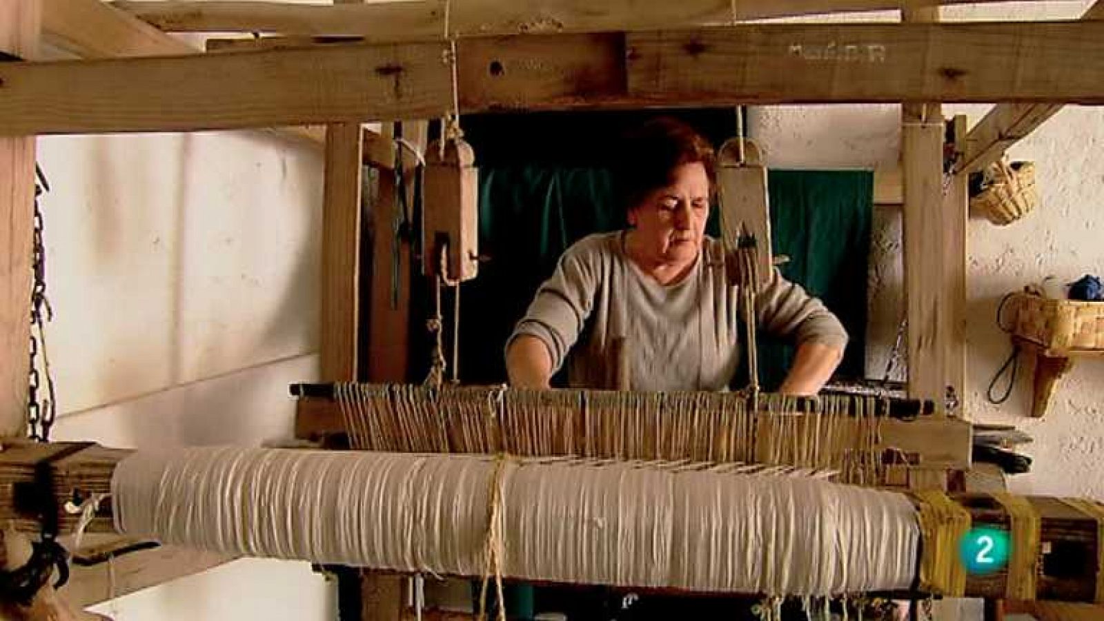 Biodiario - 17/03/13 - ver ahora