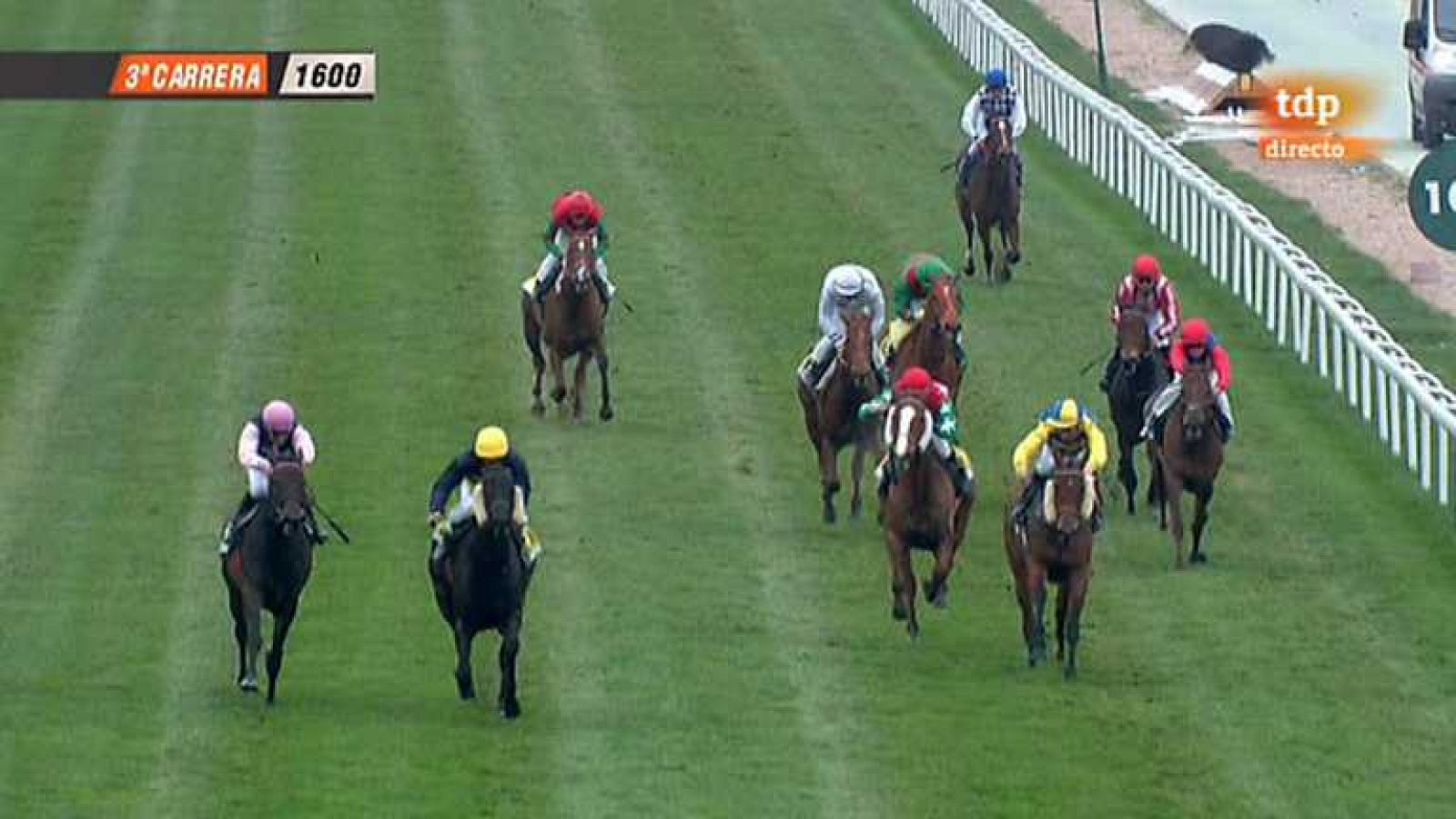 Turf - 17/03/13 - Ver ahora