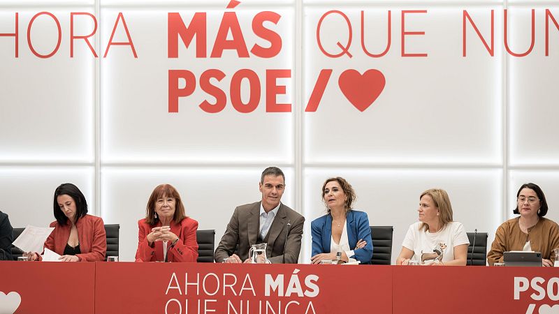 El presidente del Gobierno y secretario general del PSOE, Pedro Sánchez, preside la reunión de la Comisión Ejecutiva Federal (CEF) del PSOE