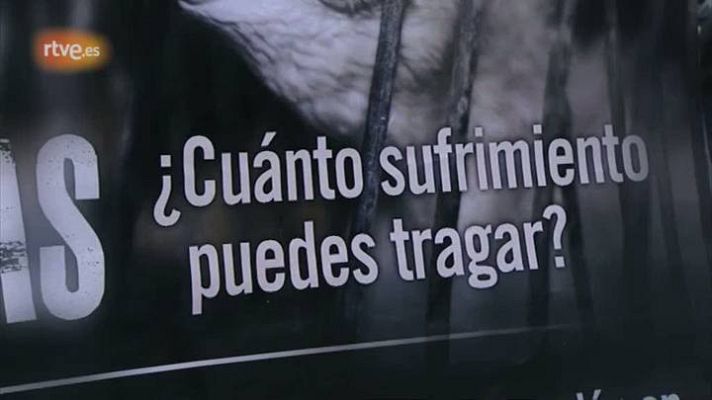 El escarabajo verde - Rebelión en la granja - avance