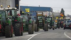Tractorada en Toledo: agricultores y ganaderos salen a las calles
