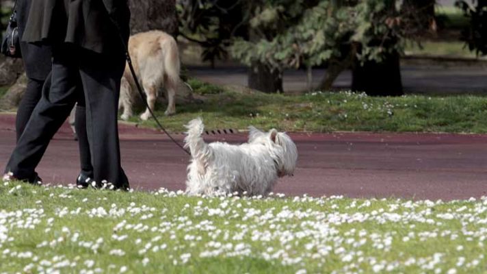 Comienza la primavera