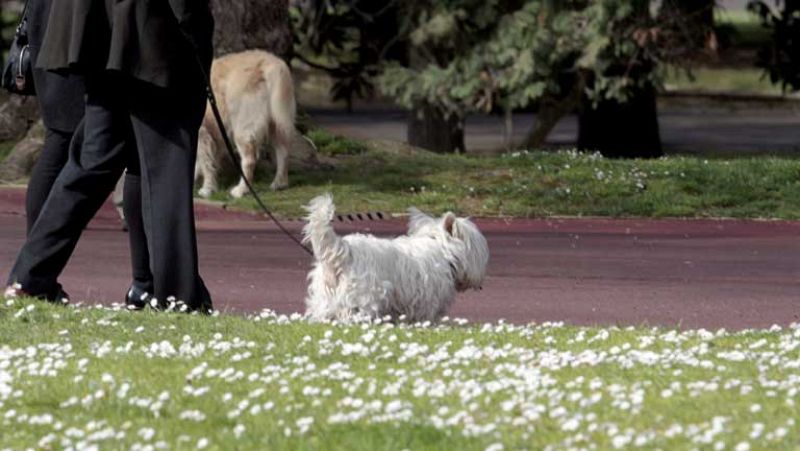 Comienza la primavera, dura 92 días y 18 horas