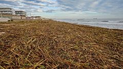 La temperatura del mar ha influido directamente en las tres últimas danas en la Comunitat Valenciana