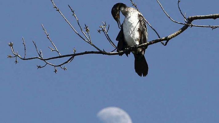 El tiempo - Nubes en el oeste de Galicia