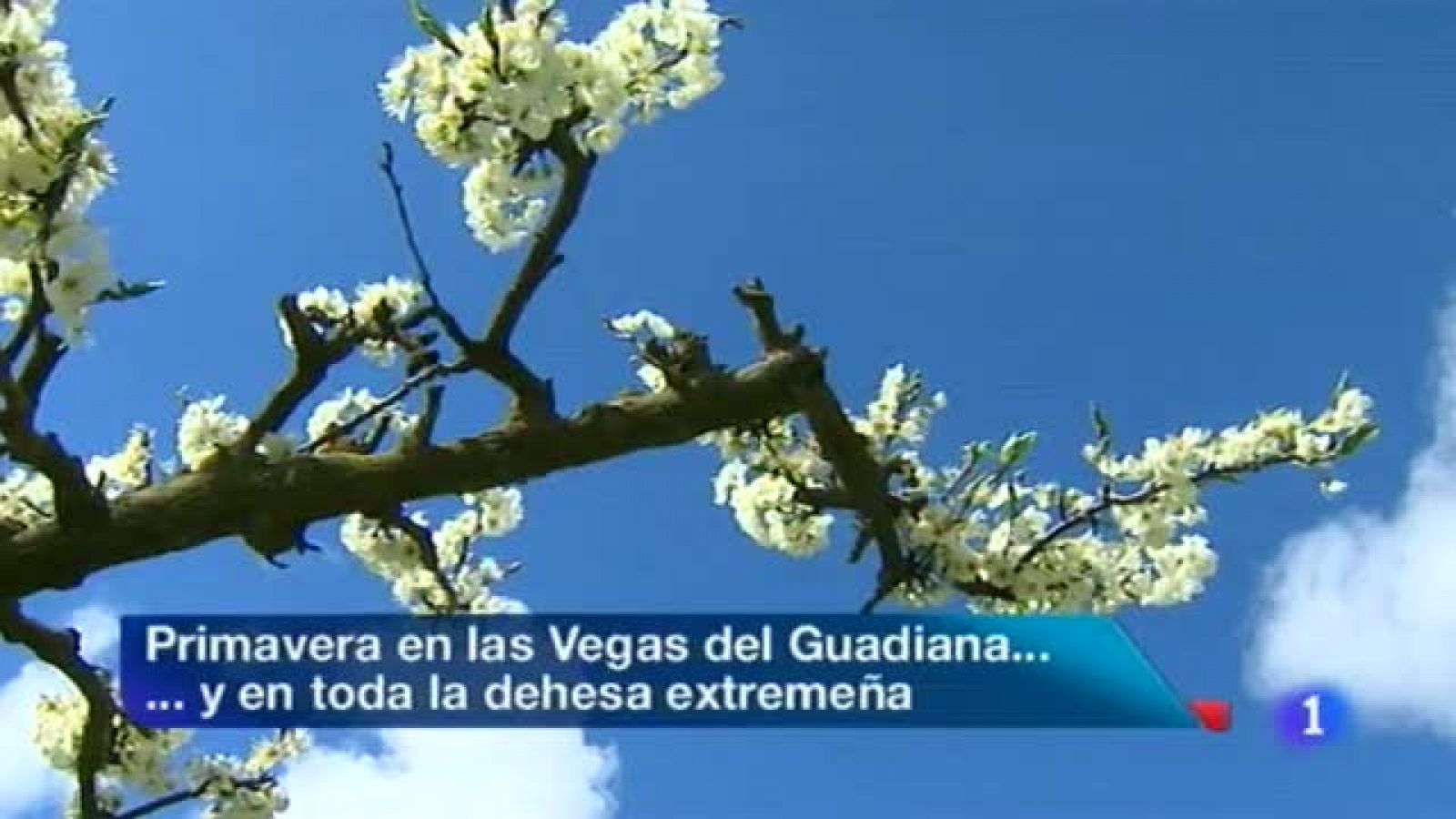 Noticias de Extremadura: Noticias de Extremadura - 21/03/13 | RTVE Play