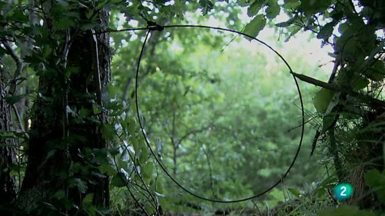 Biodiario - 21/03/13 - Ver ahora