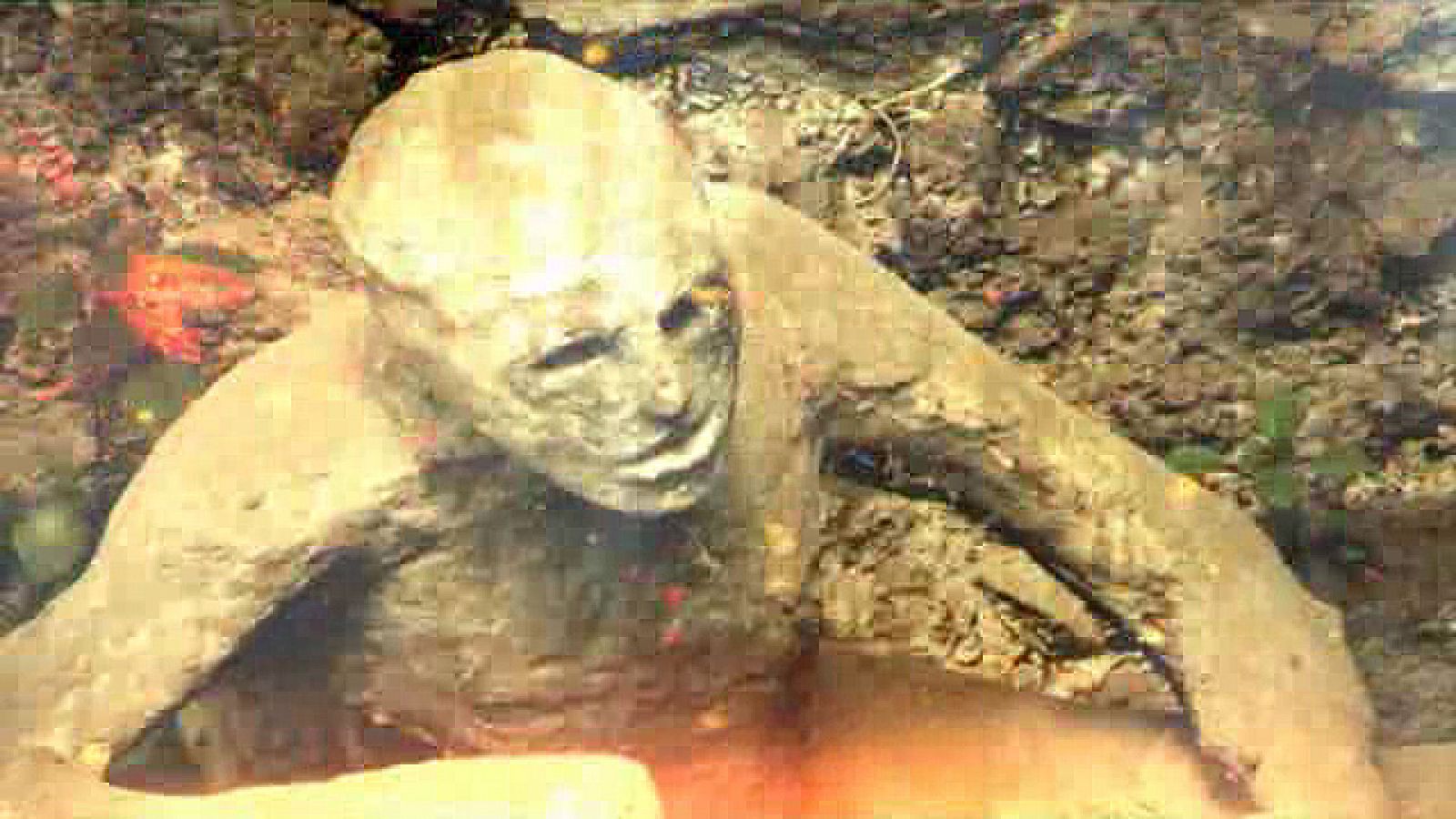 Pompeya, catástrofe bajo el Vesubio. 