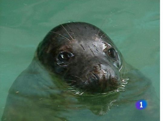 Panorama Regional - Panorama Regional 2 - 22/03/13