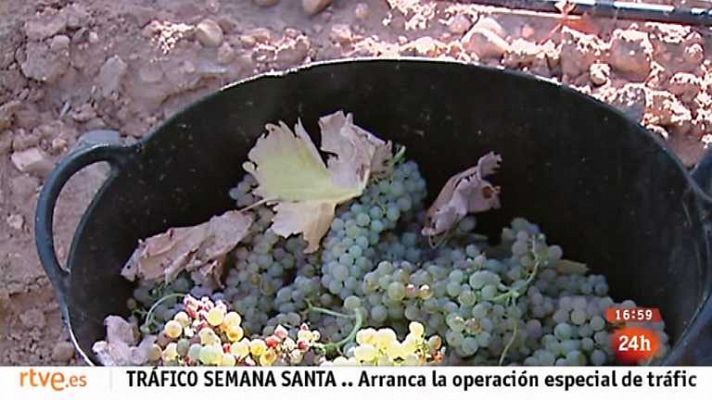 España en 24h - España en 24 horas - 22/03/13