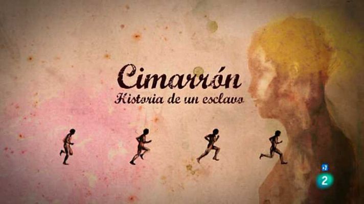 Cimarrón, Historia de un esclavo