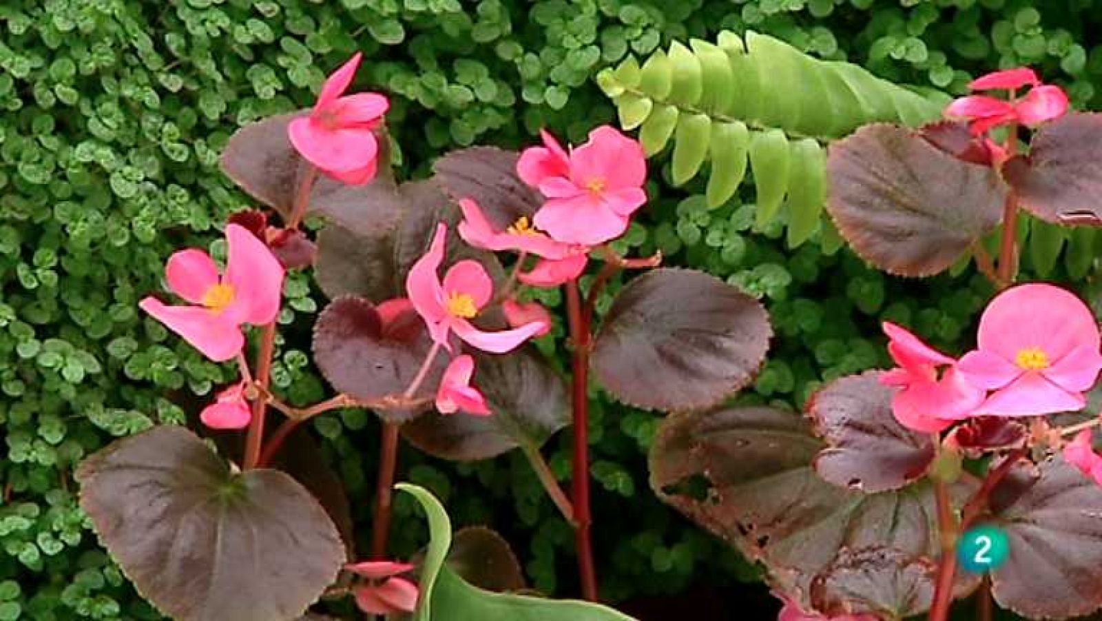 Espacio empresa - 23/03/13 - Ver ahora