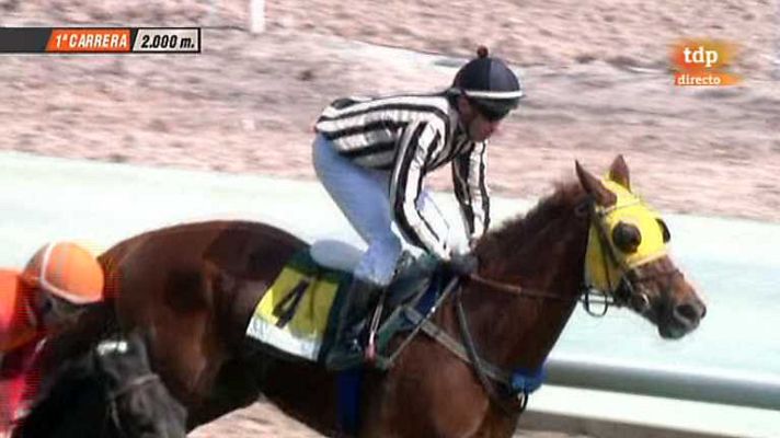 Turf - Turf - 24/03/13