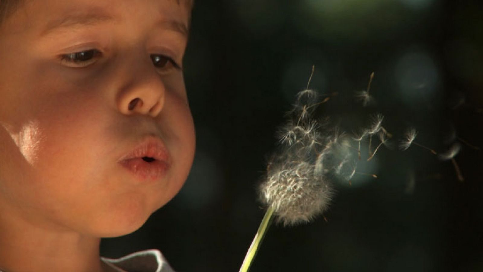 Documentos TV - Vuelve a jugar - Avance - Documentos TV | Ver