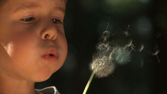 Documentos TV - Vuelve a jugar - Avance