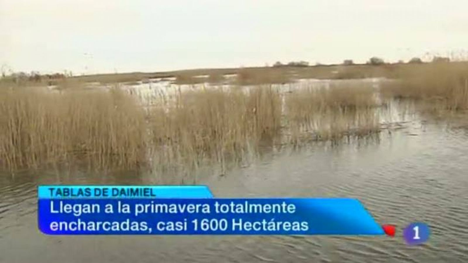 Noticias de Castilla-La Mancha. 26/03/13 | Ver