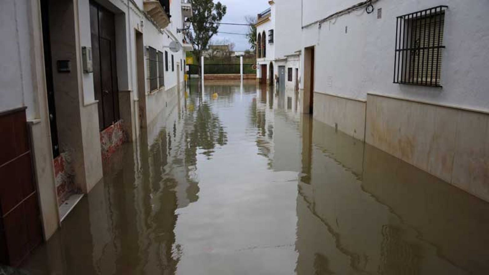 Telediario 1: Desembalse de agua en Sevilla | RTVE Play