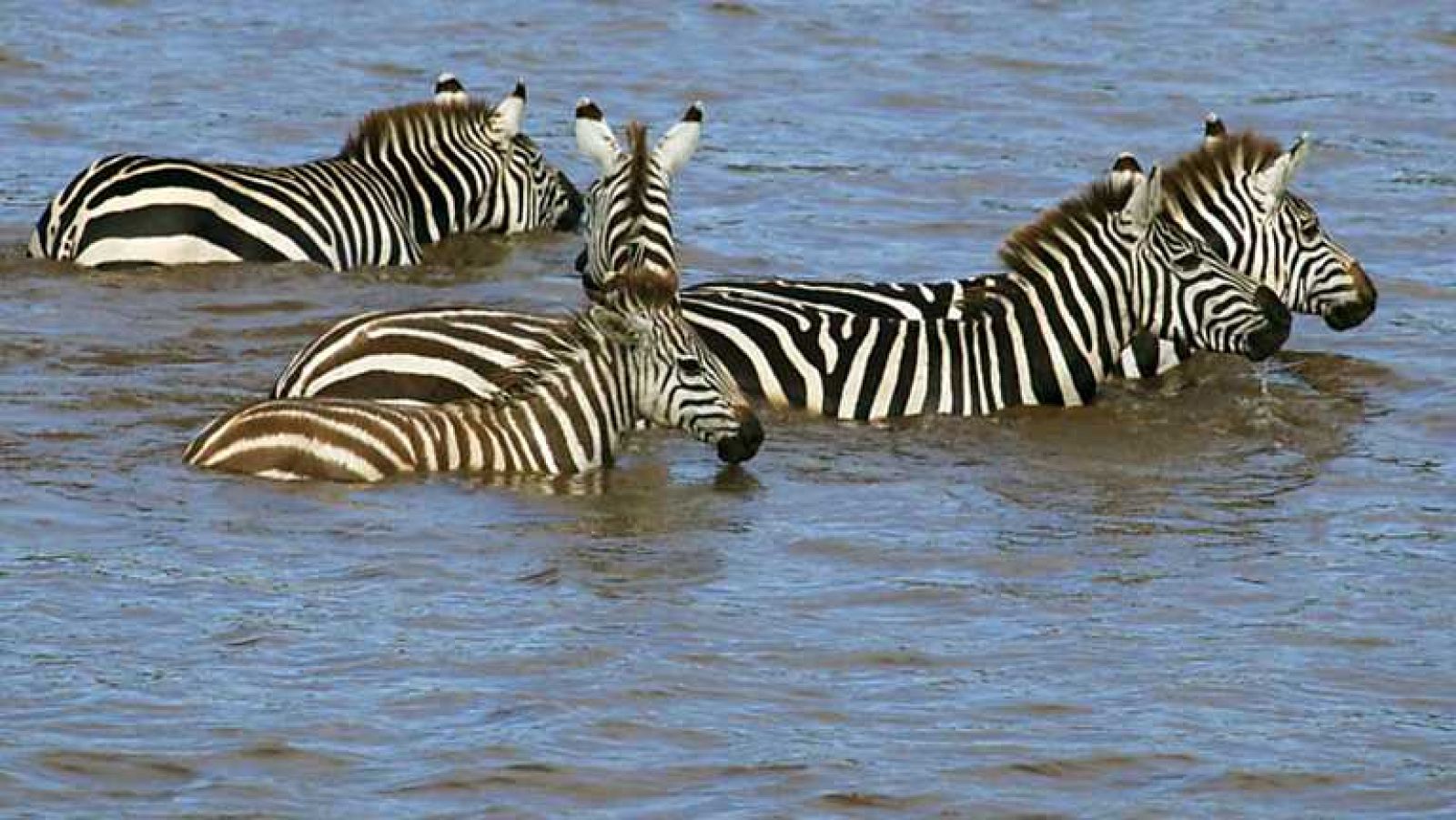Grandes documentales - Mara, el río de la muerte - ver ahora