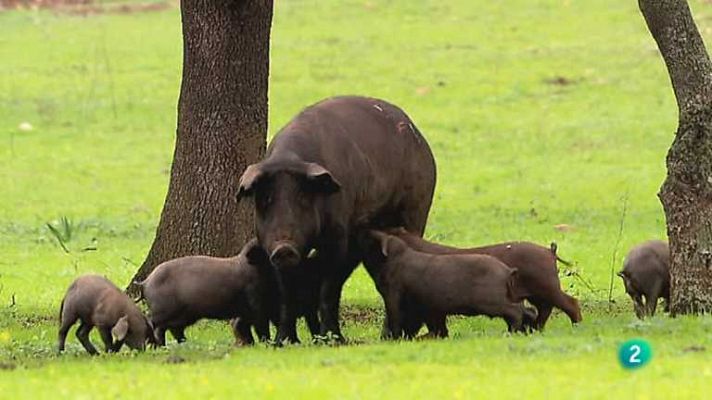 Biodiario - Biodiario - 26/03/13