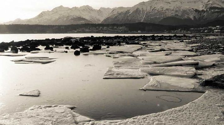 Documenta2 - Supervivencia. Unos grados de más