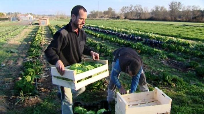 El escarabajo verde - El escarabajo verde - Nuevas raíces - avance
