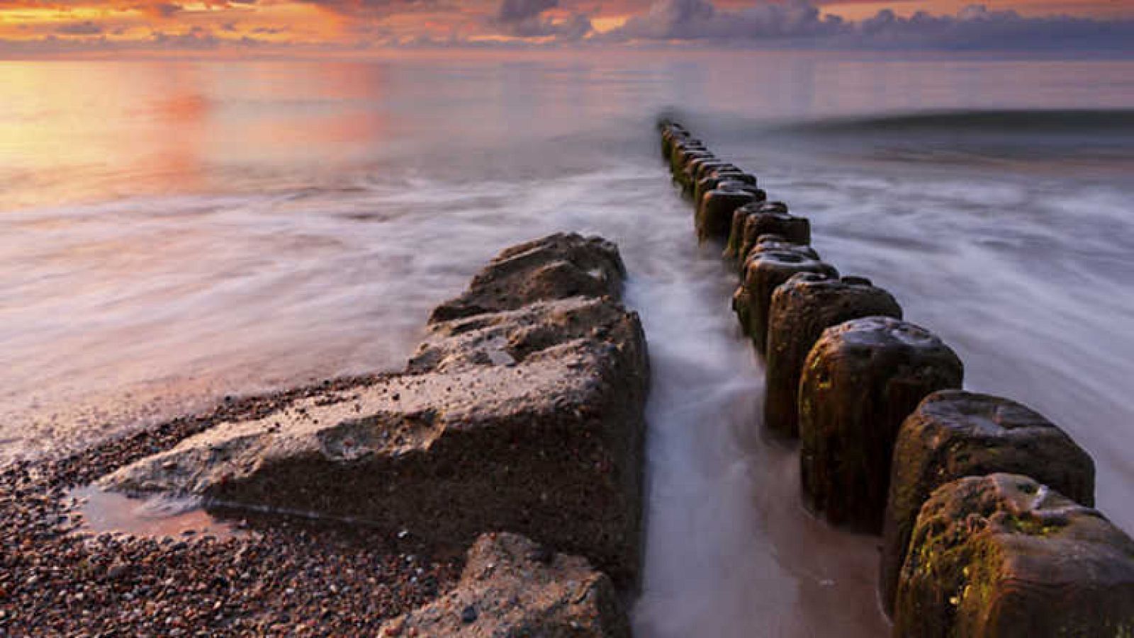 Grandes documentales - Polonia salvaje - Ver ahora