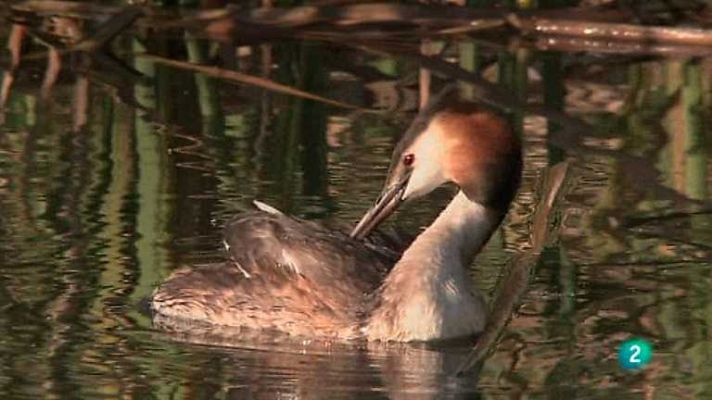 Biodiario - Biodiario - 27/03/13