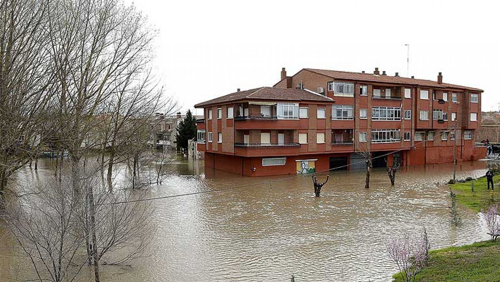 Telediario 1: Desalojan a 15 familias por las inundaciones en Viana de Cega, Valladolid | RTVE Play