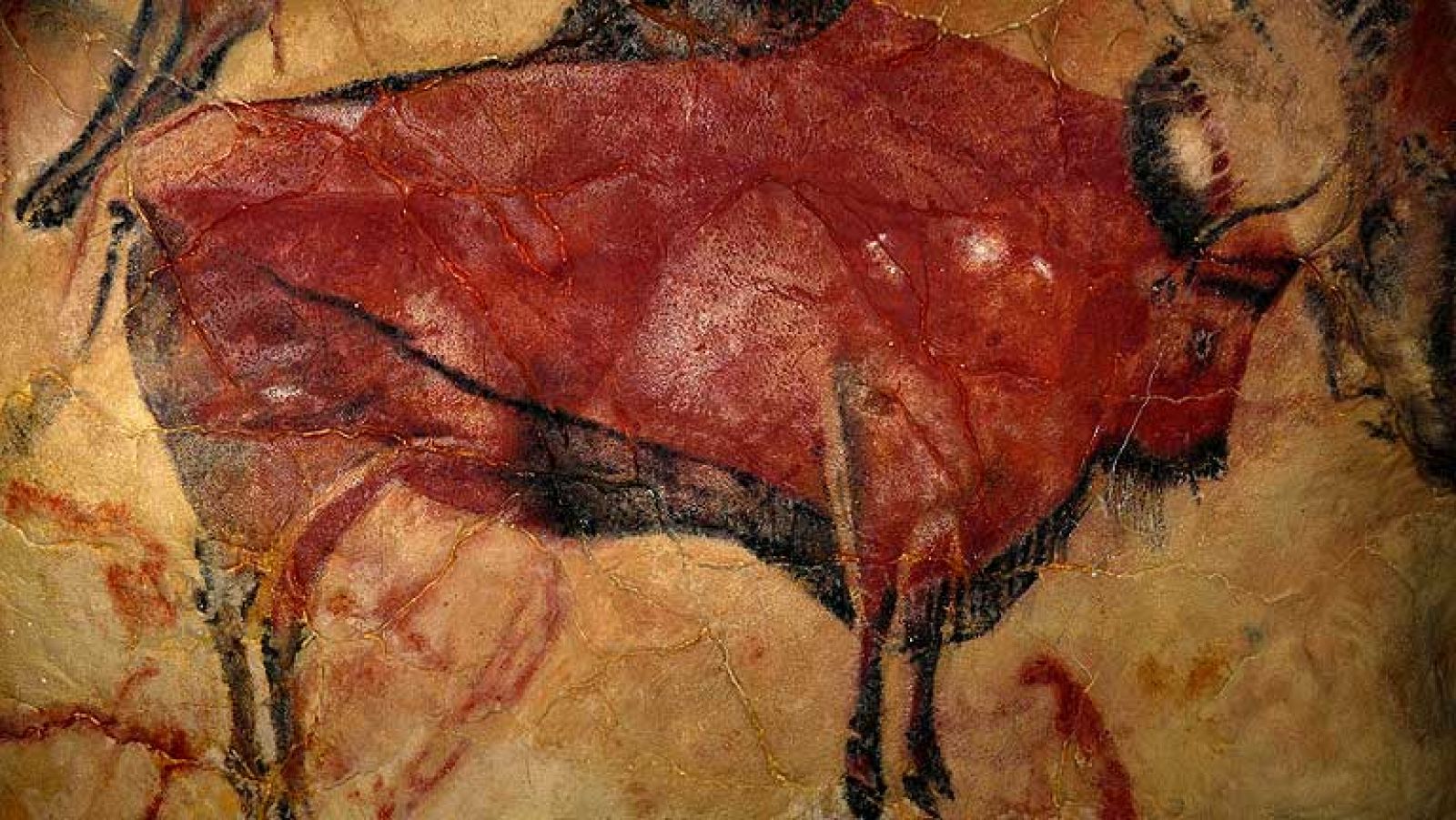 Telediario 1: Las pinturas de Altamira podrían ser el arte rupestre más antiguo | RTVE Play