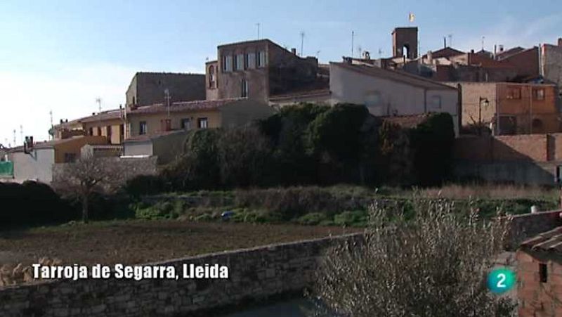 El escarabajo verde - Nuevas raíces - ver ahora 